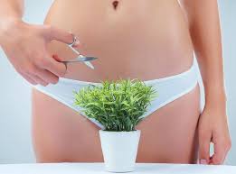 If men want to shave their pubes then they should just do it. Is Pubic Hair Finally Back In Fashion The Independent The Independent