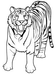 Tiger starts with t coloring page. A Loud Roaring Of Bengal Tiger Coloring Page Download Print Online Coloring Pages For Free Color Nimbus
