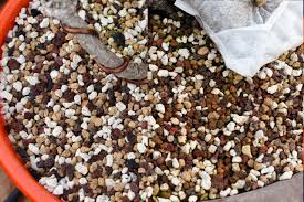 Superfly bonsai's usa sourced pumice pumice is commonly used in bonsai as soil for many different types of trees. How To Evaluate Bonsai Water Needs Bonsai Tonight