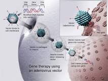 Image result for what is glybera a treatment for