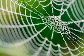 September 21, 2020 by cori george 1 comment. Spiders Web Team Building Games Uk Online Trainer Bubble
