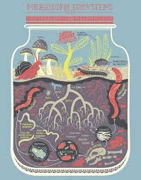Micro Ecosystems Soil Terrarium Art Print Etsy Ecosystems Art Prints Poster Design Kids