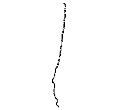 SMMS METADATA REPORT