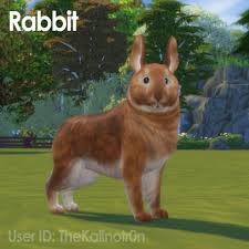 Pitbull pet dump for the sims 4 maxis, sims 4 pets, galaxy cat,. Kalino Sims Pets Sims 4 Pets Sims 4