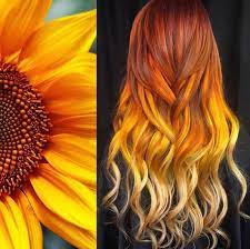 Pin On Fun Hair