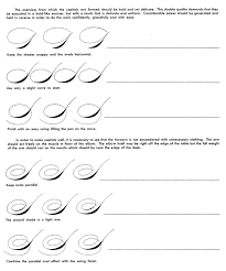 Ornpensup1opt Gif 800 960 Calligraphy Letters Lettering Practice Hand Lettering