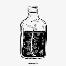 Hand Drawn Plant Potion Bottle Lineart Hand Painted Line Plant Png Transparent Clipart Image And Psd File For Free Download Bottle Drawing Bottle Tattoo How To Draw Hands