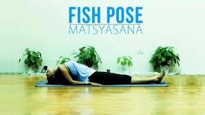 How To Do Matsyasana Fish Pose For Beginners Fish Pose Fish Pose Yoga Learn Yoga Poses