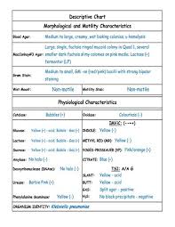Klebsiella Pneumoniae Microbiology Food And Drug Reference