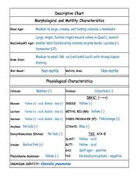 klebsiella pneumoniae microbiology food and drug reference