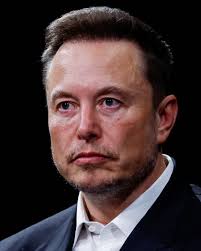 Exclusive: Tesla director Gebbia says he discussed selling house to Musk