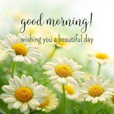 110 Good Morning Memes And Good Morning Quotes With Images Tiny Positive