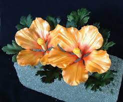 Edible hibiscus flowers for cakes. Beautiful Flowers Edible Hibiscus Flowers For Cakes