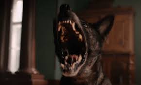 1br (2019) when sarah lucks into a swee. New Horror Coming To Netflix In August 2020 Includes We Summon The Darkness And 1br Bloody Disgusting