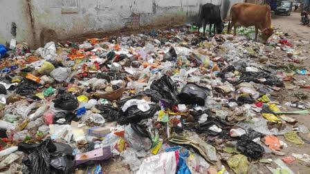 4800 सफाईकर्मियों की हड़ताल से डंपिंग यार्ड बना पटना शहर, बीमारी का भी खतरा  बढ़ा