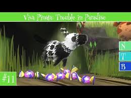 Plant them and use multicolour fertiliser three times on each seed. How Can You Obtain A Ponocky Within The Viva Pinata Trouble In Paradise Game Media Rdtk Net
