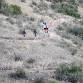 Rock Hawk Trail Race
