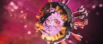 Deutschland erklärt unter anderem südafrika . Fragen Und Antworten Uber Das Neue Coronavirus Spektrum Der Wissenschaft