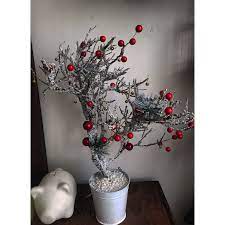 El chamizo colorado es un arbusto alto, arborescente, con la parte superior redondeada, con planta de 3 a 7 m de altura, tallo grueso, desnudo, de color rojizo, . Arbol De Navidad Tendencia Vintage Chamizo Arbol De Navidad Navidad Tendencias Vintage