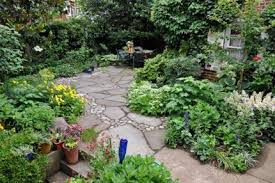 Pin By Sarah Barnes On Landscaping Yard Lawn Alternatives Backyard Landscaping Front Yard Landscaping
