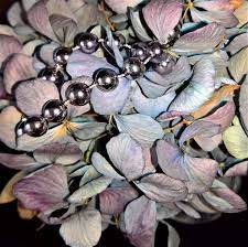 Check spelling or type a new query. Hydrangeas Dried Hydrangea Flowers Free Photo On Pixabay