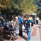 Arts And Crafts Festival