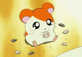 We hope you enjoy our growing collection of hd images to use as a background or home screen. 10 Cutest Anime Animals Of All Time My Otaku World