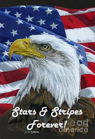 American Eagle Stars And Stripes Forever Animal Drawings Eagle Painting Eagle Pictures Eagle Drawing