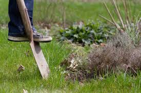 Besonders im april ist es wichtig, alle anstehenden arbeiten für den garten zu erledigen. Der Garten Im April Tipps Und Tricks Vom Gartner Diybook De