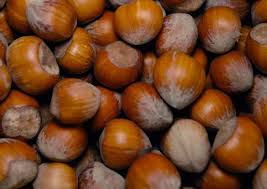 We did not find results for: Nocciola Piemonte I G P Ecco 5 Curiosita Il Gelato Co