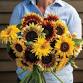 The Science of Sunflowers