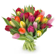 Si avvicina la data di compleanno della tua amica e vorresti farle una sorpresa. Walter Cunningham Pojistka Velbloud Fiori Per Compleanno Richmondfuture Org