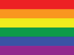 12 different Pride Flags and their meanings | Student Affairs