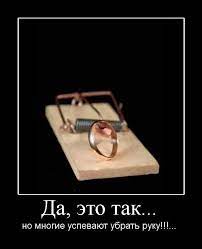 Демотиваторы • Социофорум - бесплатное обучение онлайн