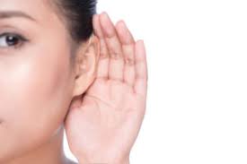 In the 19th century, doctors figured out that the ears, nose, and throat are closely connected by a system of tubes and passages. Hearing Aids New Port Richey Fl Scotch Institute Of Ent