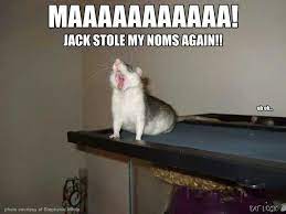 Pin On Living My Current Life By