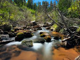 Adam Krawczyk (@adventurepilot) • Instagram photos and videos