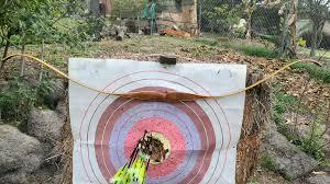 Any Black Widow Fans in the House 🏠 Here's another bow that is part of  Craig Ekin's collection that will be auctioned off soon. Really Clean  Wilson Brothers Black Widow #19154 60''