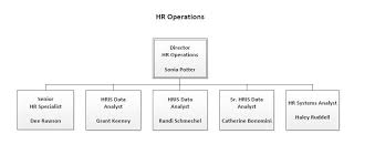 Hr Structure Chart Www Bedowntowndaytona Com