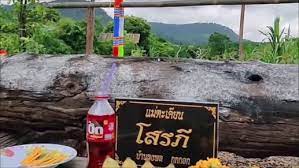 คนม องค ส อสารทางจ ต แม ย าโสรภ ท บ านล งพลป าแต น ขอเ