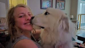 Any suggestions for making dog food with pork roast?