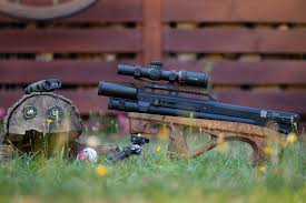 Image result for Lelya