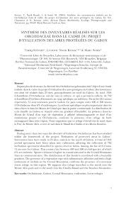 Image result for Tridactyle scottellii