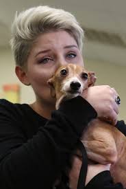 PHOTOS: Mike Hensdill's Favorite Images of 2017