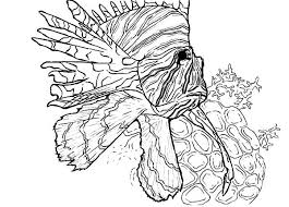 Pin On Kids Coloring Pages