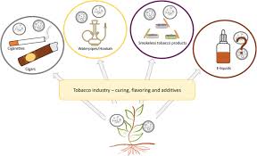 The information of nicotine content is shown on nicotine may also slightly increase basal metabolic rate, or commonly known as metabolism. A Roadmap From Unknowns To Knowns Advancing Our Understanding Of The Microbiomes Of Commercially Available Tobacco Products Springerlink