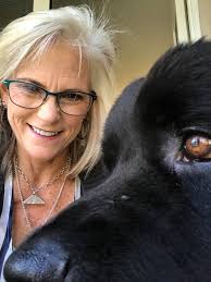 Newfoundland Club of Southern California Beach Day Event