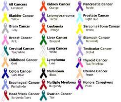 It can also be a source of information. Misd Colors For Caring Eagle Nation News