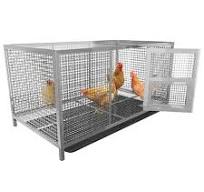 Cage à Poulets en Acier Inoxydable - Enclos Poulailler ...