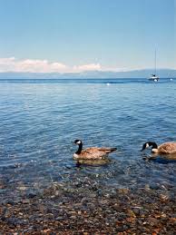 Weather forecast forlake tahoe, california (united states). Weather For Lake Tahoe California Nevada